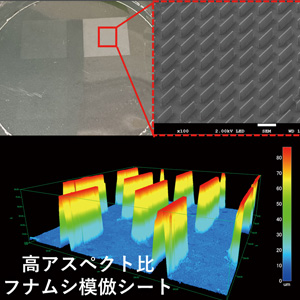 フナムシ模倣超親水シート